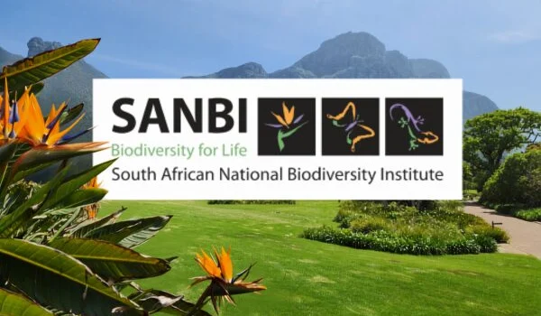 Tree Talks: Learning from Cape Town’s Tree Champions