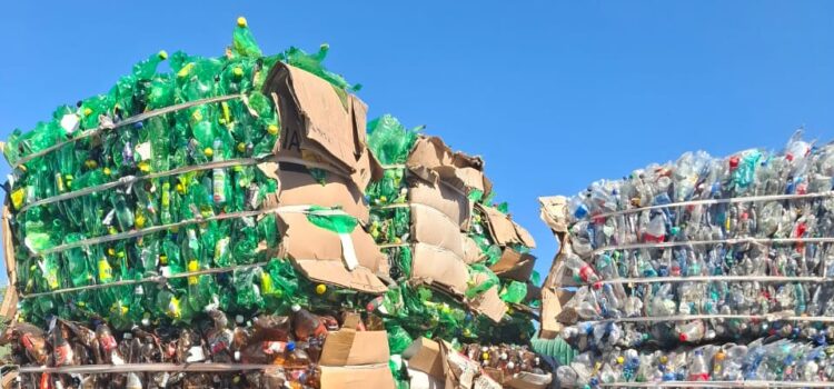 Where Does Woodstock’s Recycling Really Go?